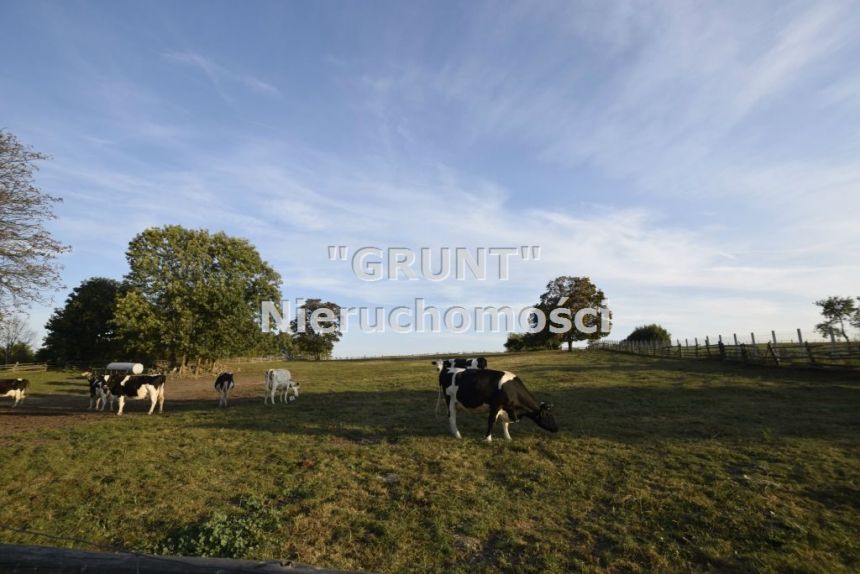 Gostomia, 950 000 zł, 14.47 ha, rolna miniaturka 10