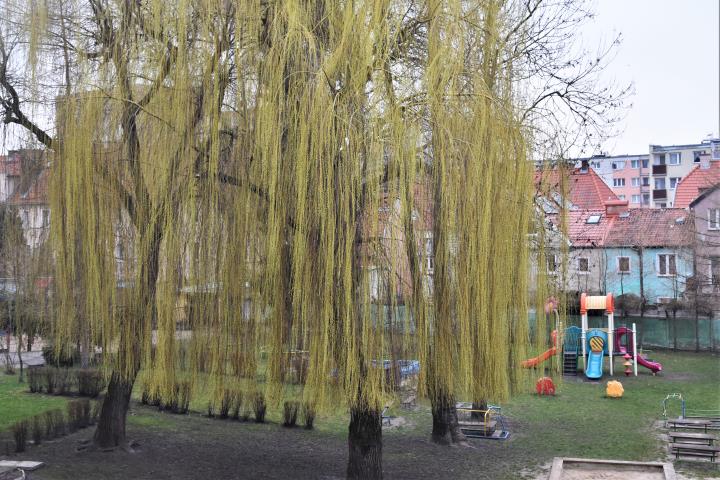 2 POKOJE, CENTRUM MIASTA, CICHA LOKALIZACJA. miniaturka 14