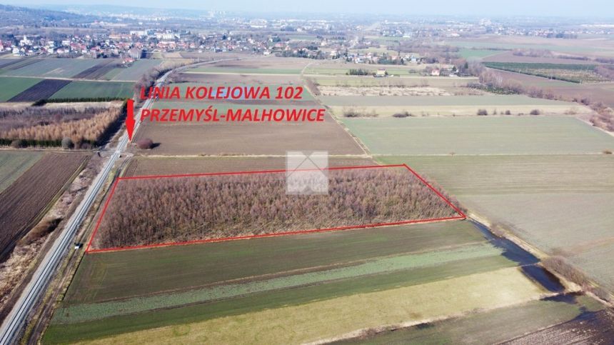 DZIAŁKA LEŚNA 1,37 ha - na sprzedaż miniaturka 3