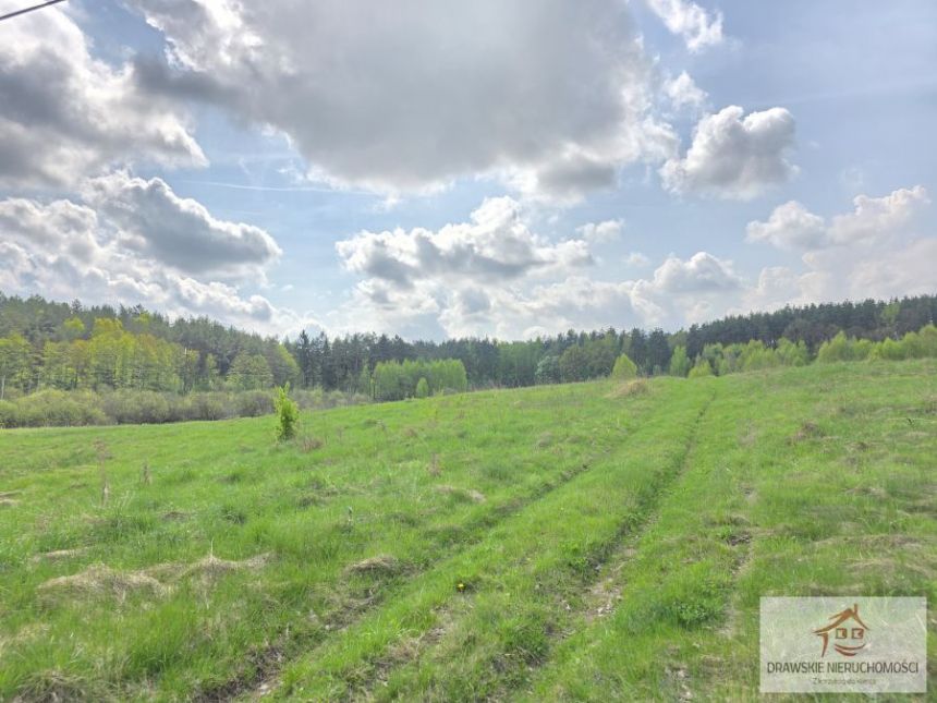 Rzepowo, 495 000 zł, 3.15 ha, rolna miniaturka 9