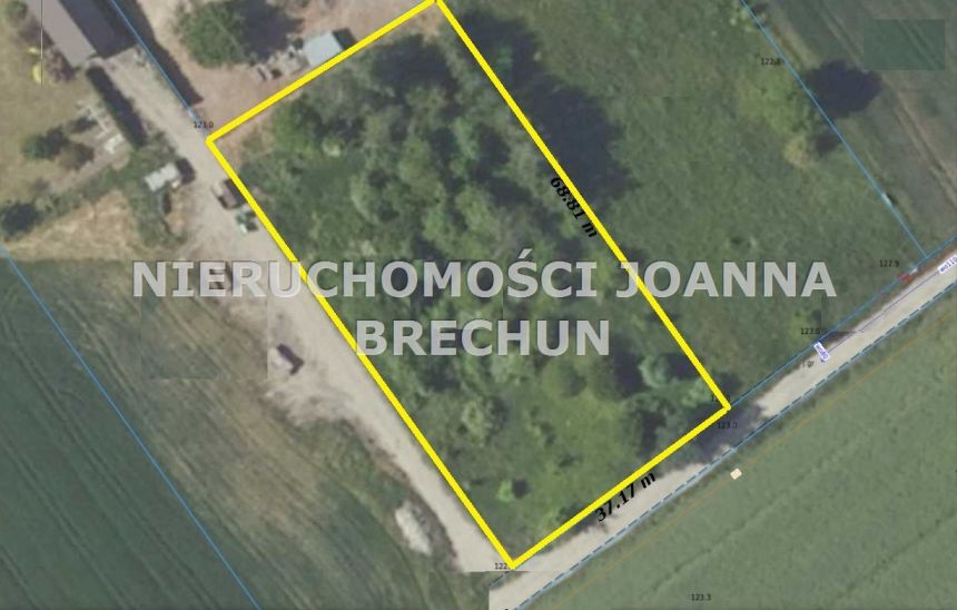 Ziębice przy lesie miniaturka 4