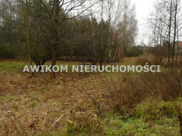 Skierniewice, 138 258 zł, 1.54 ha, rolna