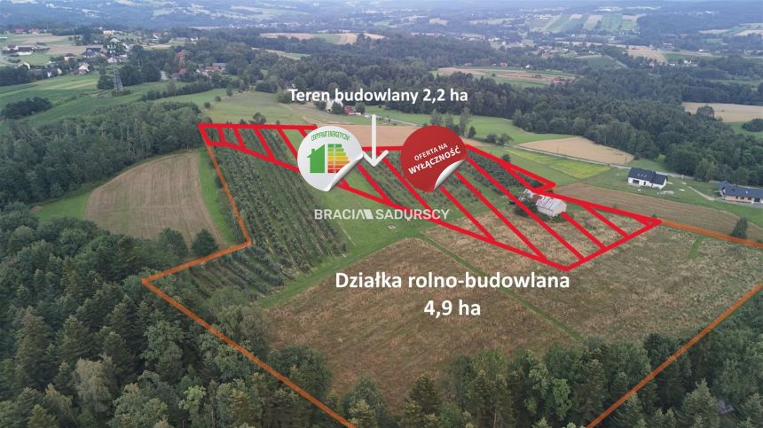 Wolica, 1 250 000 zł, 4.9 ha, przyłącze wodociągu - zdjęcie 1