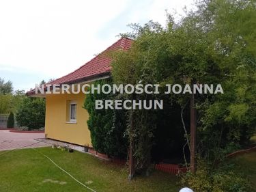 Psie Pole dom do wynajęcia