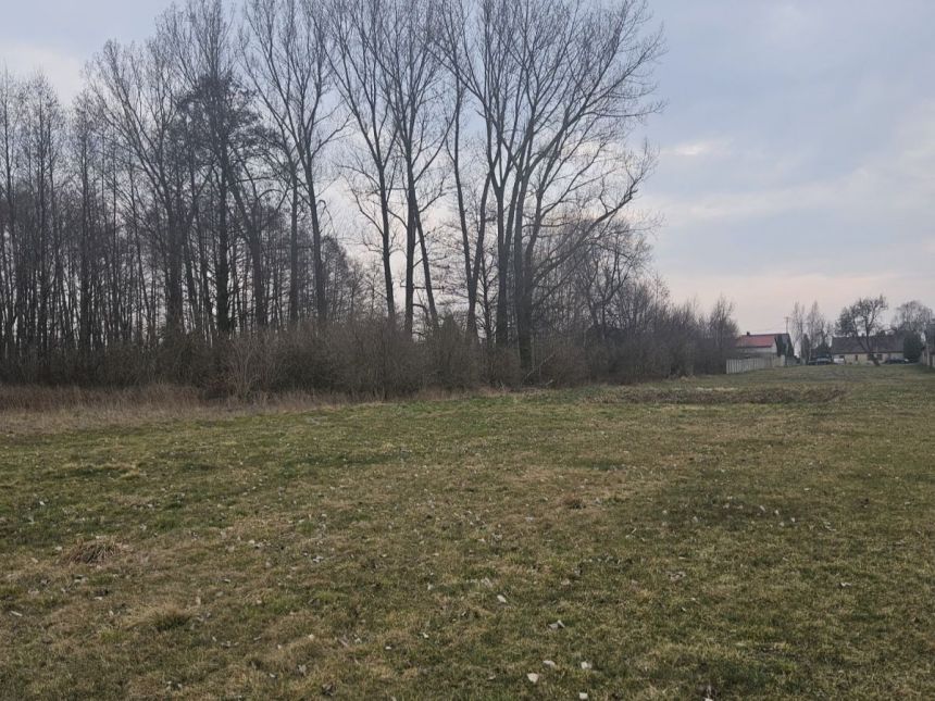 Sanie, 750 000 zł, 2.51 ha, przyłącze prądu miniaturka 5