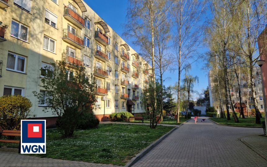Tomaszowo, 1 400 zł, 46.6 m2, pietro 3 miniaturka 13