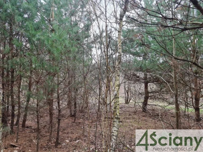 Czarny Las, 923 000 zł, 41.94 ar, woda w drodze miniaturka 3