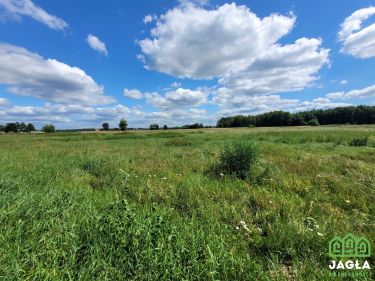 Kruszyn Krajeński dwie działki -każda po 1100m2