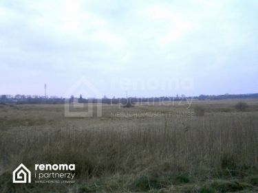 Koszalin, 299 000 zł, 1.3 ha, budowlana