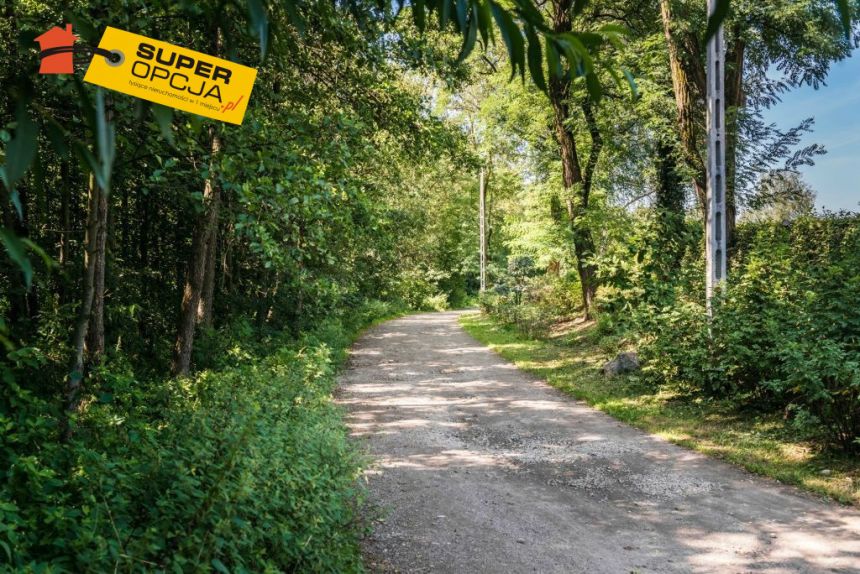 Kraków Dębniki, 4 995 000 zł, 559 m2, 6 pokoi miniaturka 28