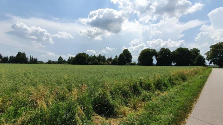 Piękna, duża działka w spokojnej okolicy - Pólko - zdjęcie 1