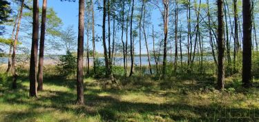 Działka z linią brzegową Jeziora Chobienickiego