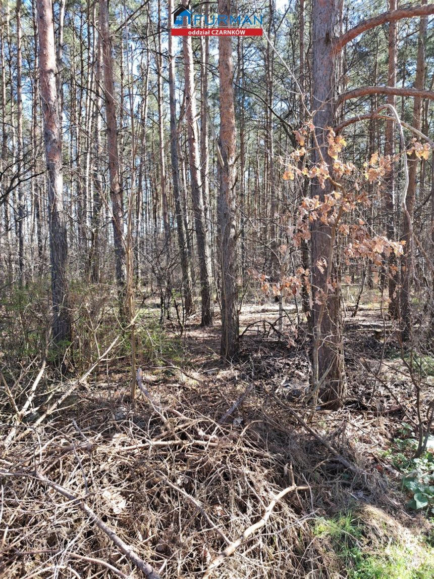 działka na sprzedaż w Białej, gmina Wieleń miniaturka 16