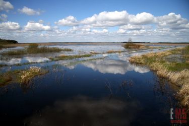 Tarnopol, 120 000 zł, 10 ar, droga dojazdowa gruntowa