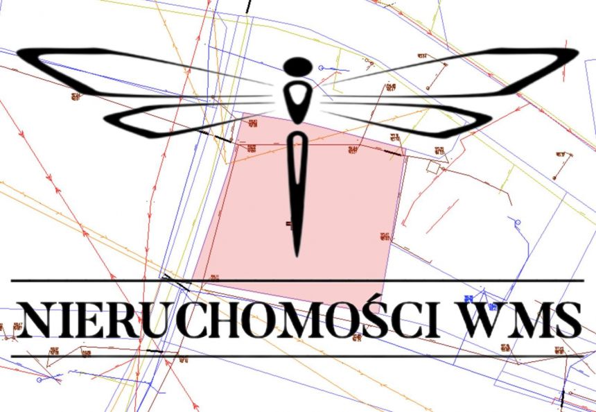 Huta Komorowska, 250 000 zł, 70 m2, wolnostojący miniaturka 14