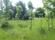 Mazury, Grzegrzółki, dz. rolna10,22ha/650tys.zł zł miniaturka 5
