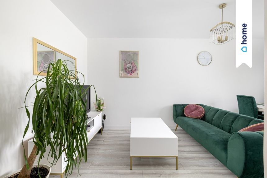 Dom z  podzielonymi działkami 19 875m² miniaturka 8