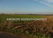 Nowy Dwór-Parcela, 167 000 zł, 1.09 ha, rolna miniaturka 5