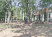 Borzęcin Duży ul.Spacerowa-przy lesie. miniaturka 7