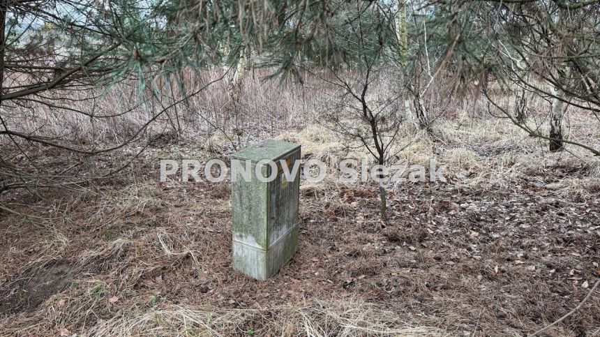 Działka 7000 m², Osolin k. Obornik Śląskich miniaturka 6
