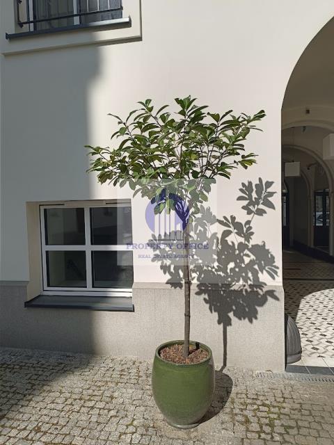 Śródmieście : biuro/mieszkanie 44,02 m2 miniaturka 11