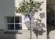 Śródmieście : biuro/mieszkanie 44,02 m2 miniaturka 11