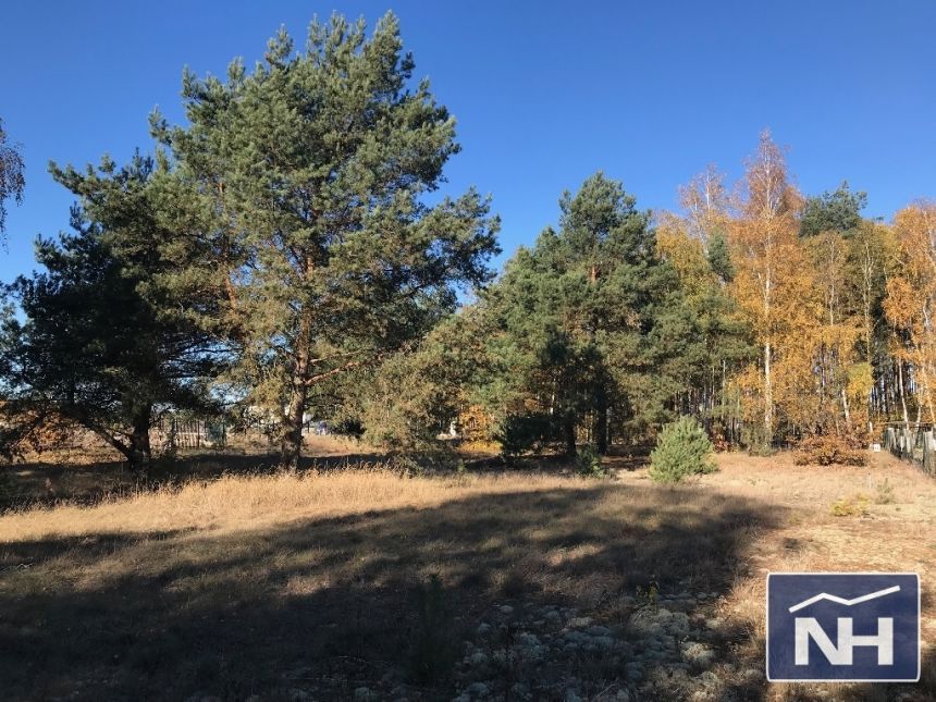 Nowe Smolno, 160 000 zł, 18.65 ar, prostokątna - zdjęcie 1