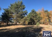 Nowe Smolno, 160 000 zł, 18.65 ar, prostokątna miniaturka 1