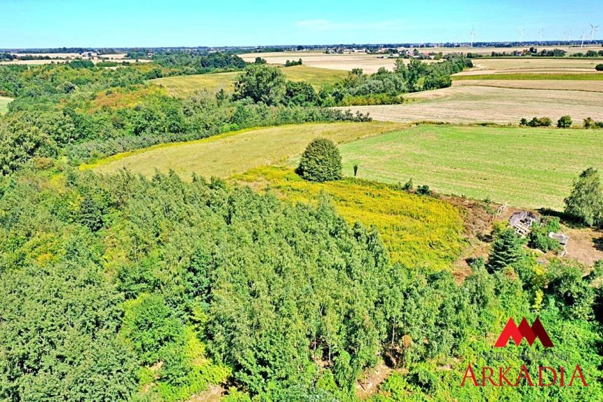 Działka budowlana/800m od Wisły miniaturka 5