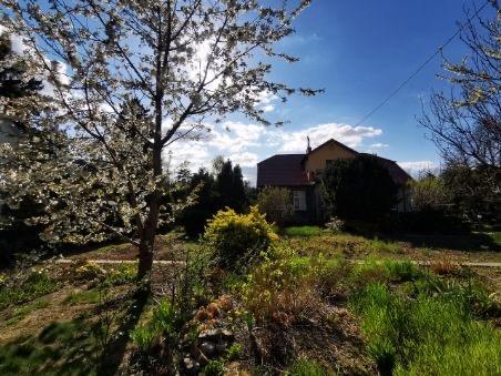 Urokliwy Przedwojenny Dom do Remontu. Ogród 1600 m2 miniaturka 6