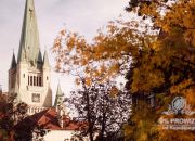 Prestiżowy Apartament w centrum Wrocław Borek miniaturka 19