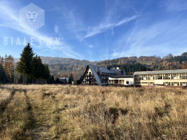 Zawoja, 7 000 000 zł, 3.18 ha, droga dojazdowa asfaltowa