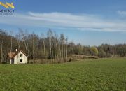 Działka 3333m², z pozwoleniem na budowę, Ogrodniki miniaturka 7