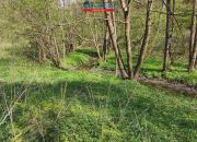 Śmiłowo, 127 000 zł, 27.45 ar, rekreacyjna miniaturka 13