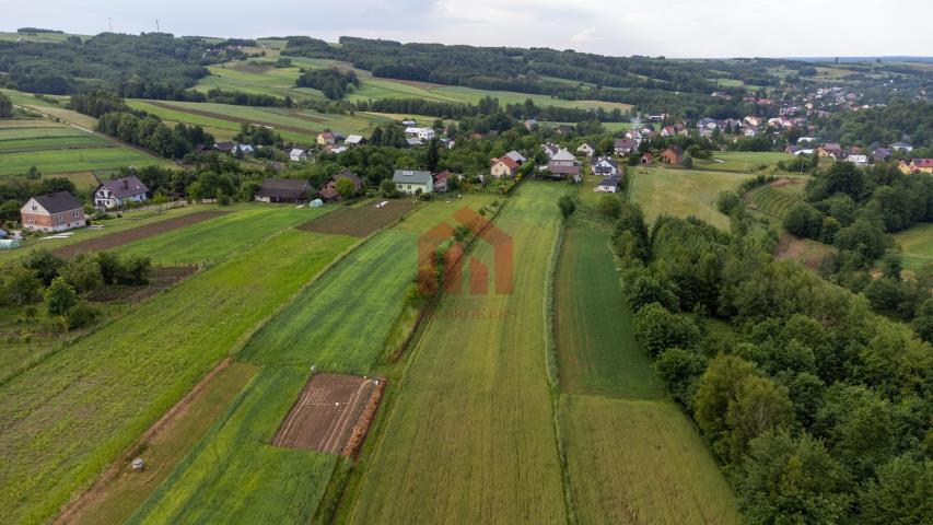 Działka budowlana z widokiem na iglasty las miniaturka 10