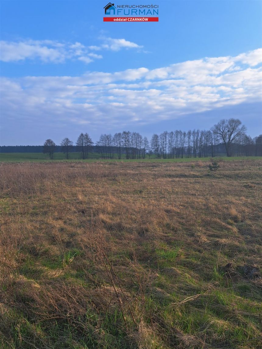 działka na sprzedaż w Brzeźnie gmina Czarnków miniaturka 6