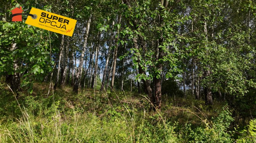 Odrzykoń 215 000 zł 37.56 ar miniaturka 10