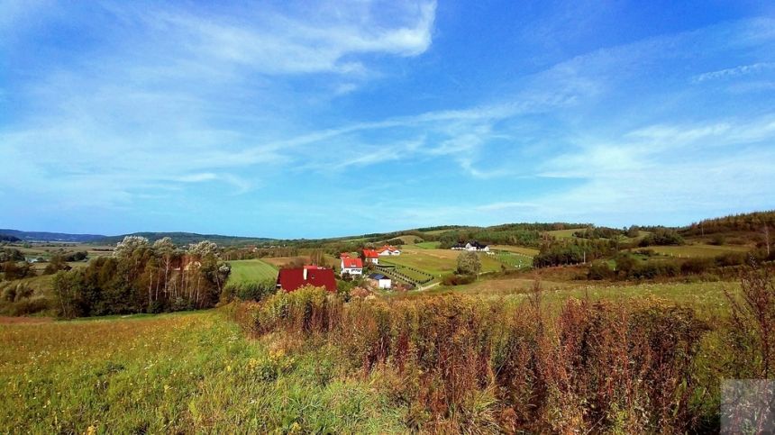 Małe Bieszczady - działka w Krzywczy miniaturka 2