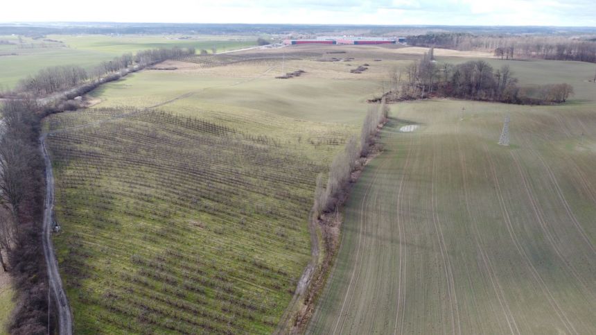 Działka przemysłowa w Swarożynie przy autostradzie A1. miniaturka 2