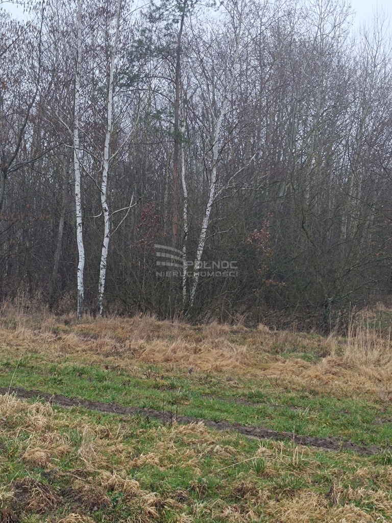 Działki budowlane od Legnicy 12km, od Lubina 24km miniaturka 6