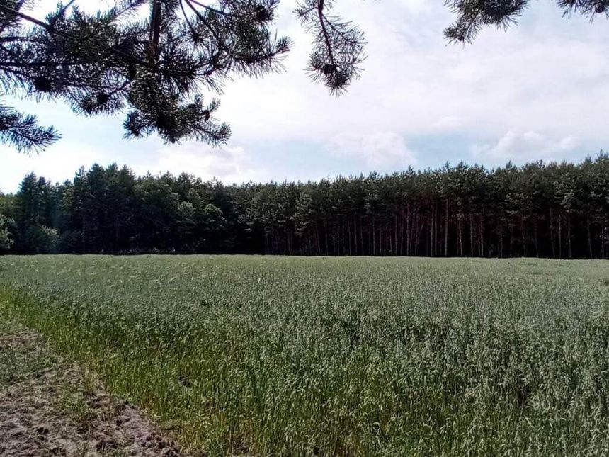 Działki budowlane gmina Lisia Góra miniaturka 3