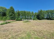 Wałdowo Królewskie 325 000 zł 31.44 ar miniaturka 7