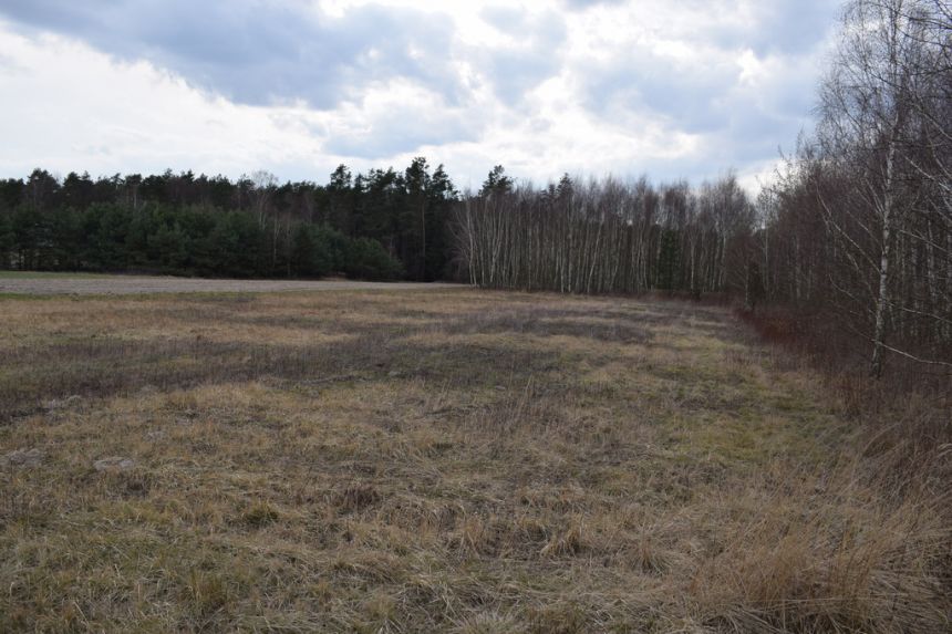 Działka pod zabudowę 55a- Przewrotne miniaturka 2