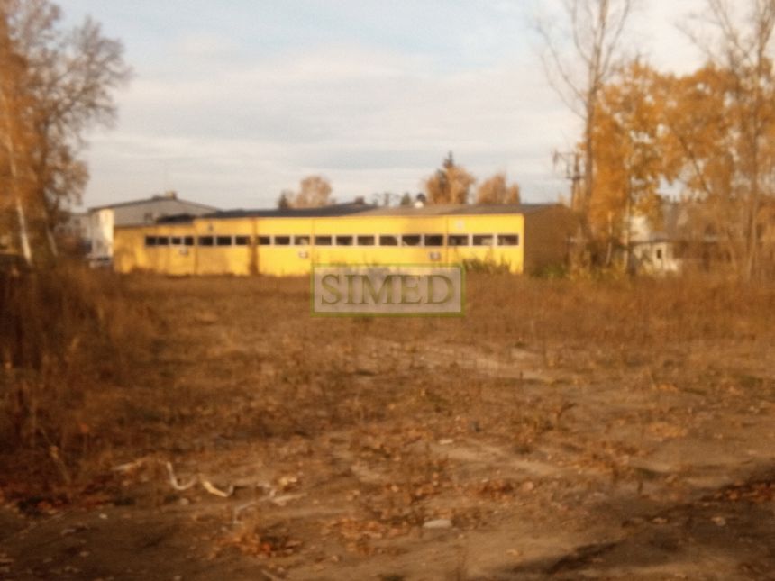 Okolice Auchan,przy trasie nr 7 wjazd do Łomianek miniaturka 7