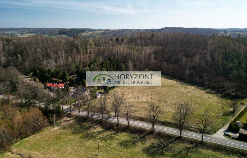 Brodnica Górna działka na wzgórzu przy lesie miniaturka 3
