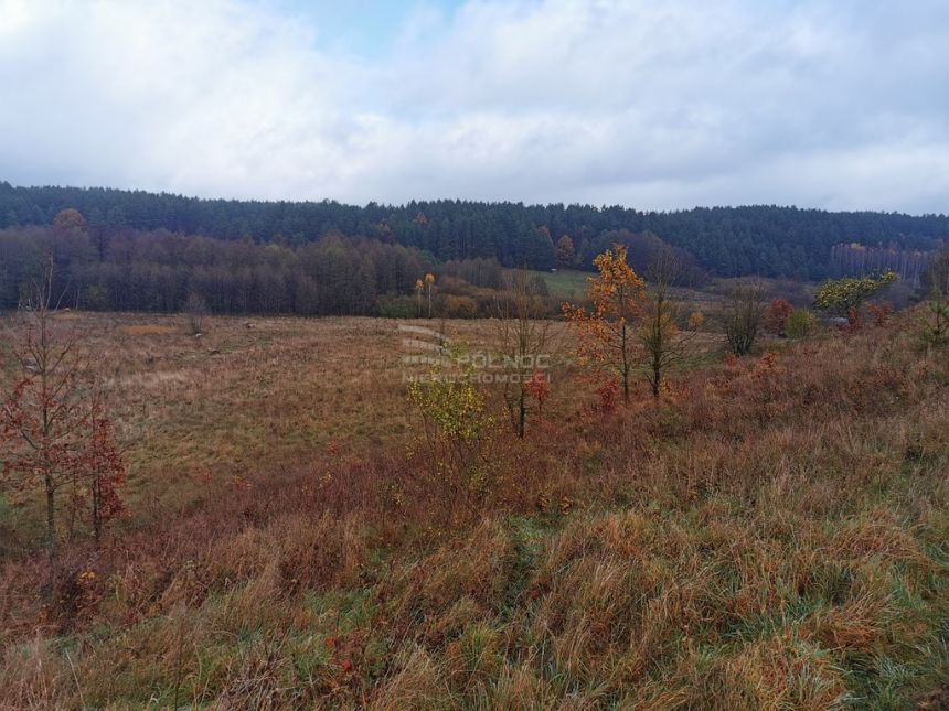 Działki Budowlane w Otulinie Puszczy Knyszyńskiej miniaturka 11