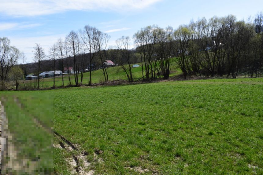 Działka rekreacyjna 40a- Manasterz miniaturka 4