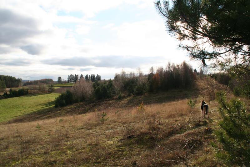 Działka rolna Borzestowo k/ Chmielna 43288 m2 powi miniaturka 9