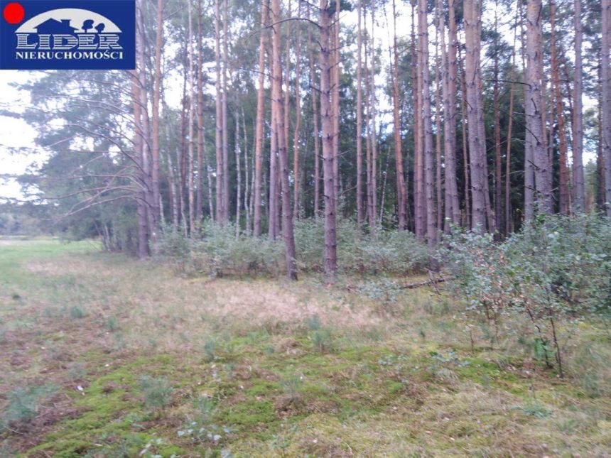 Atrakcyjny grunt rolny z możliwością podziału! - zdjęcie 1