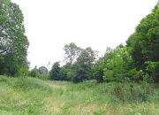 Duża działka z domem do remontu miniaturka 9